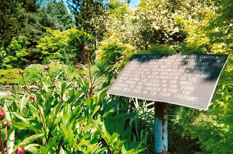 a sign that is in the grass and some plants