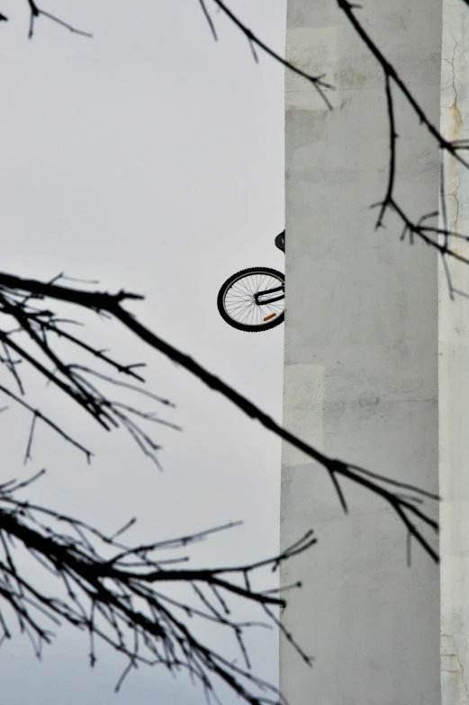 the nches of tree with an upside down clock