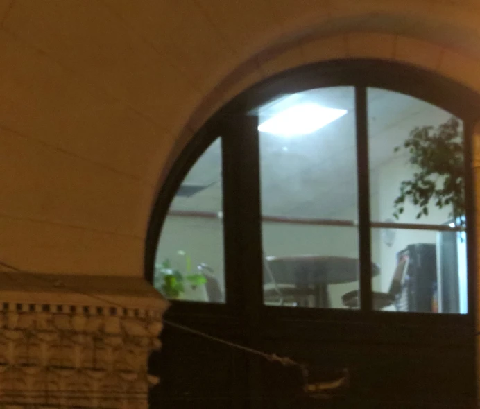 a reflection of the door of a small building into an area with plants and windows