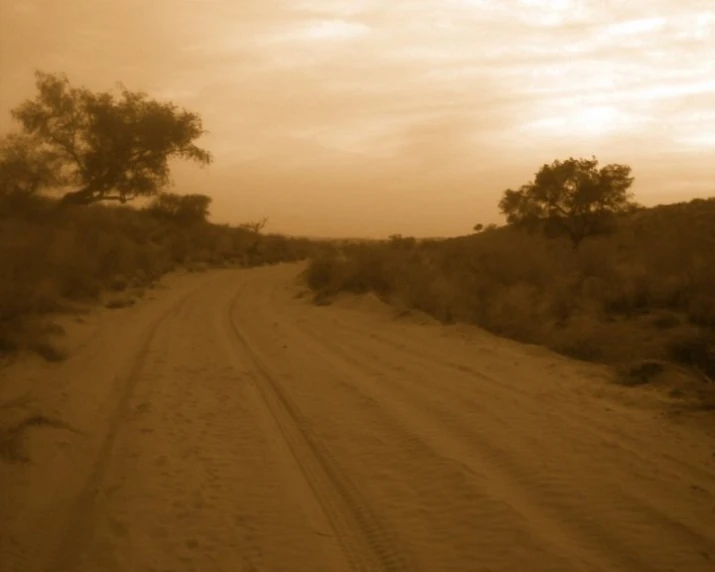 a dirt road with a tire track in the middle