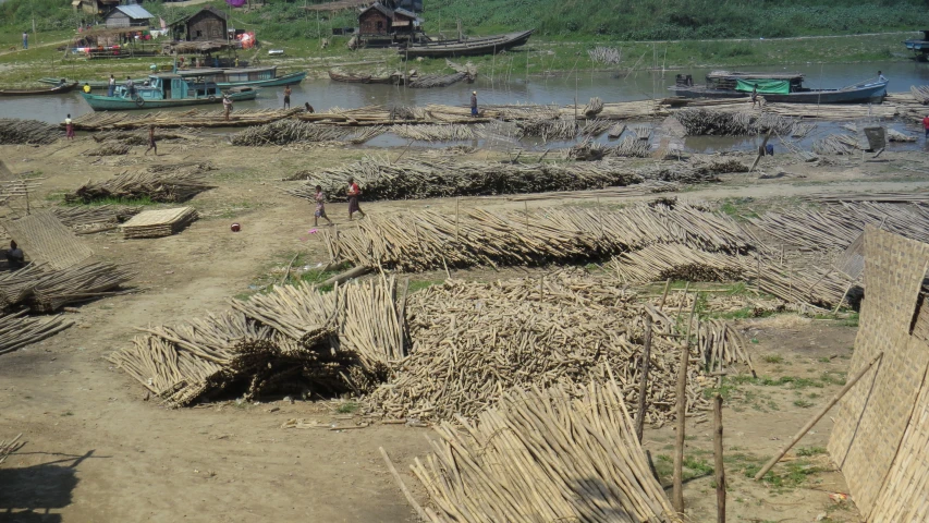 lots of driftwood that are sitting next to water