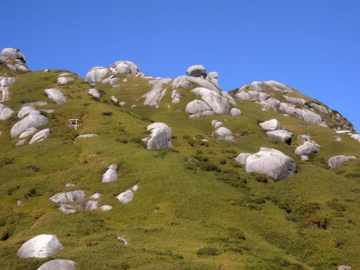 a grassy hill covered in rocks under a clear blue sky