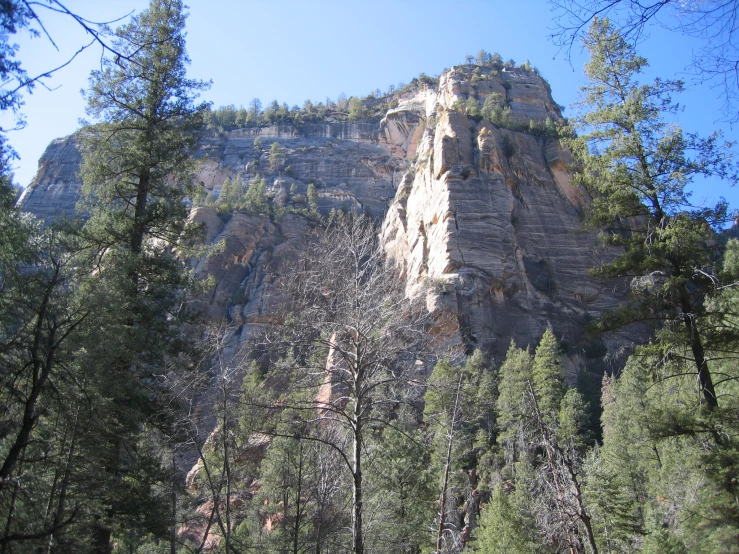 a large tall mountain with pine trees around it