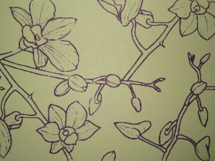 drawing of flowers on green paper with purple and white background