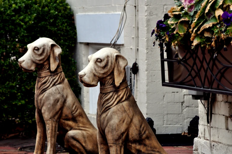 two statue of dogs sit side by side in front of a building