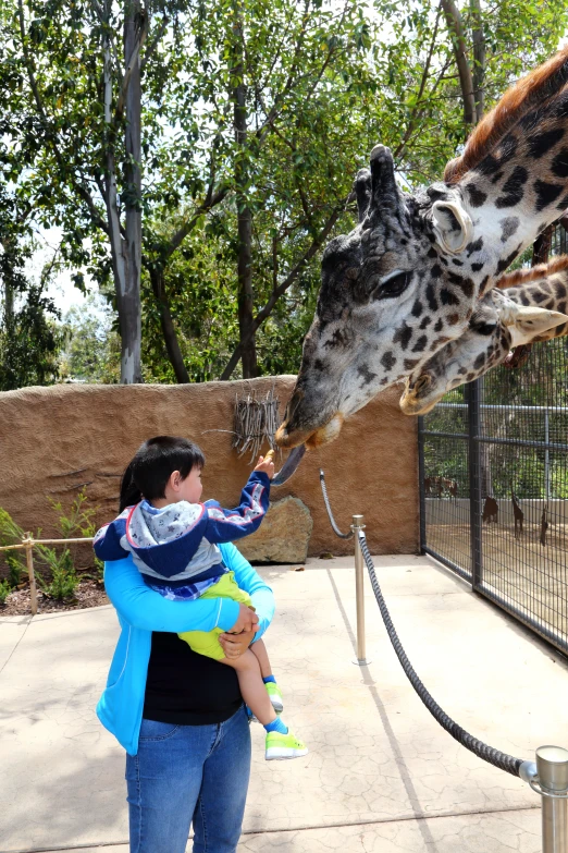 a woman holding a child while feeding a giraffe