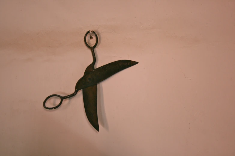 there is a long handled scissors hanging on the wall