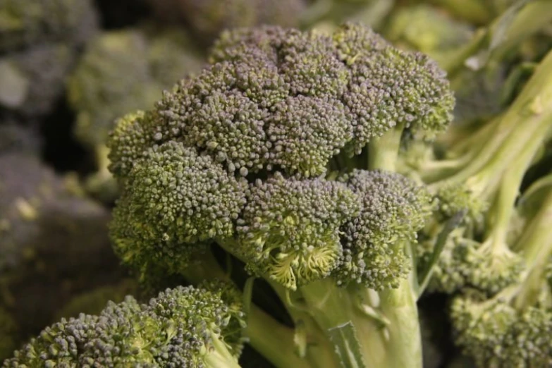 the broccoli is almost covered with little flecks