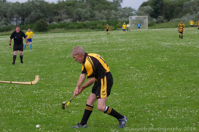 a referee prepares to block a ball from being pitched