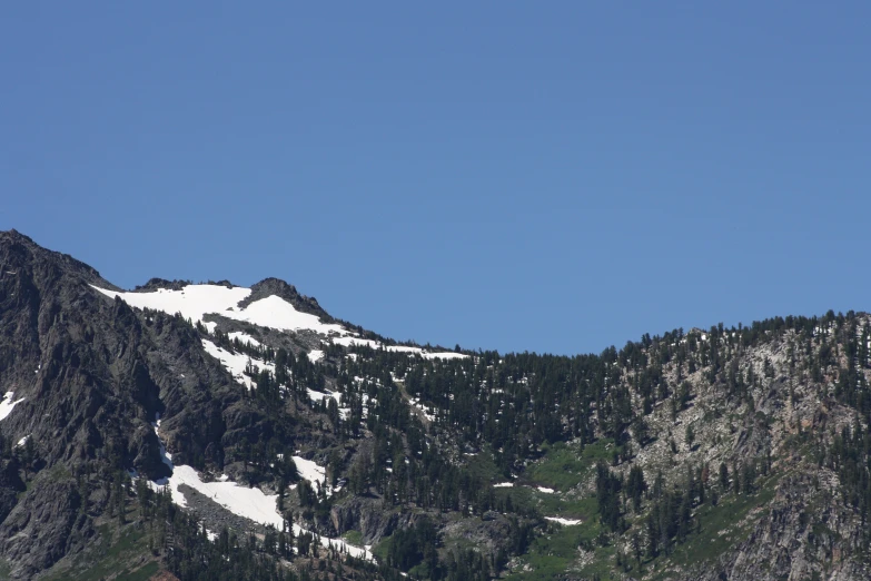 snowy mountain scene with trees and birds in the foreground