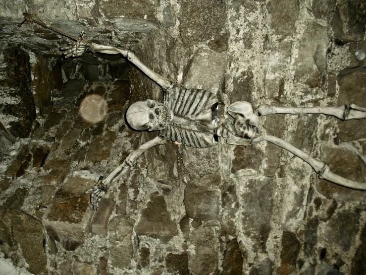 a skeleton lying in the floor in front of a rock wall
