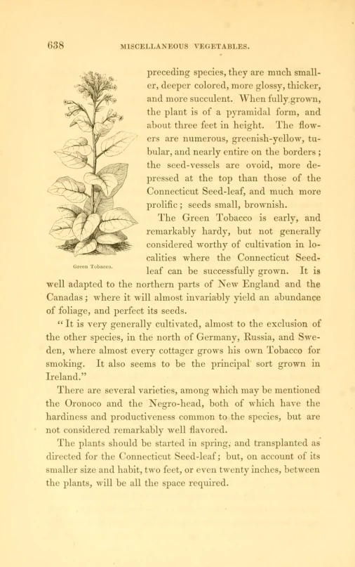 a page in the book shows a po of some plants