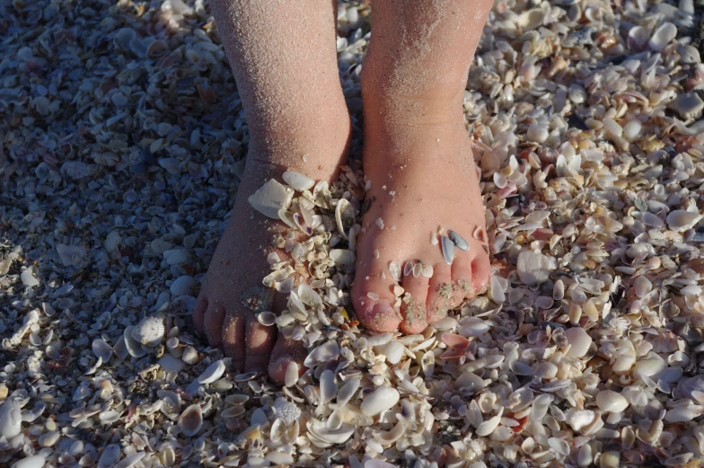 a beach goer wears a white sand and shells