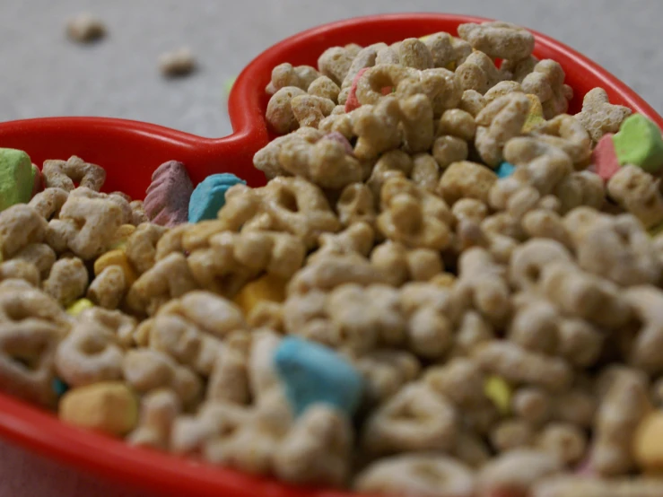 there is a large red bowl full of dog treats