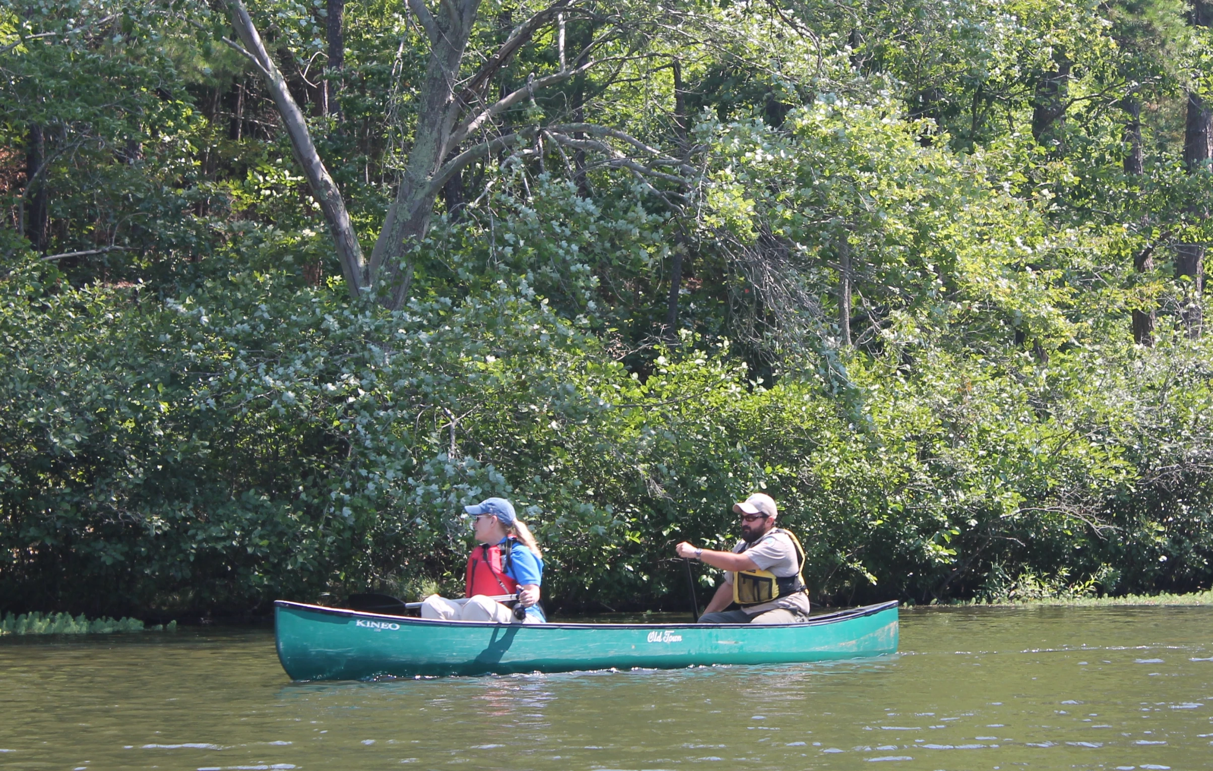 two people in a canoe paddling the river