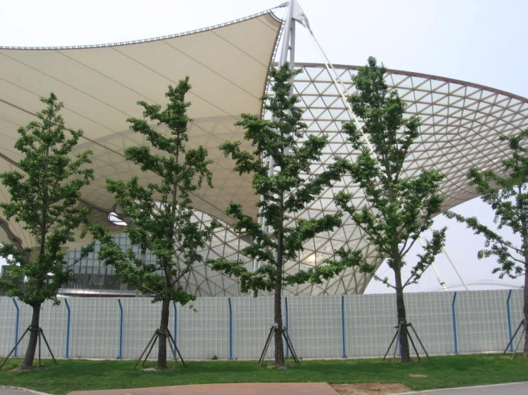 trees are outside by a structure that is made of metal