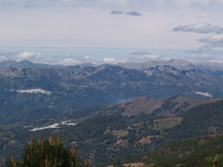 mountains with sp trees and snow on them