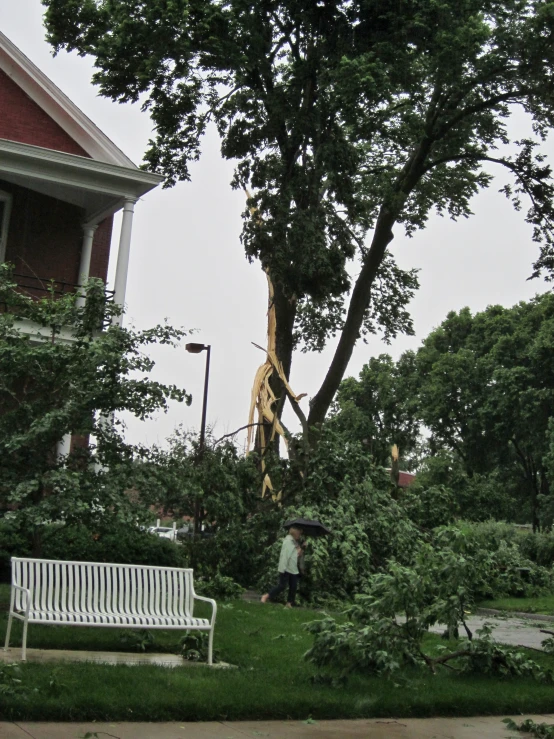 tree nches fell on a bench and tree in front of a house