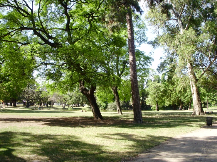 a park with grass and trees near the walkway