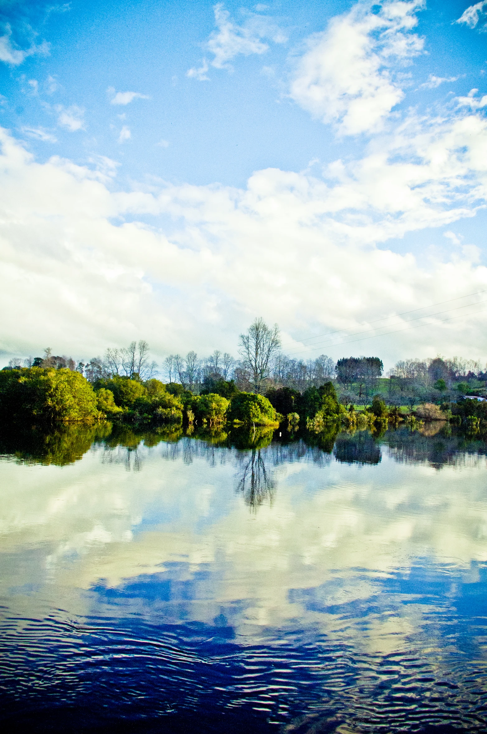 a clear lake sitting next to a lush green forest