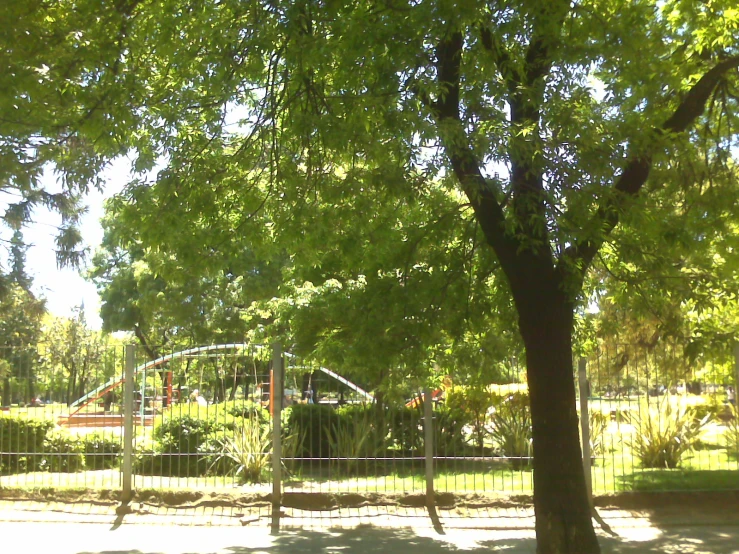 some large green trees and a swing set