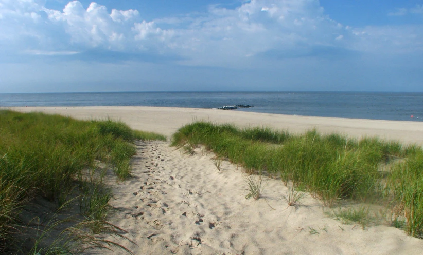 a sandy path to the water leads from the beach