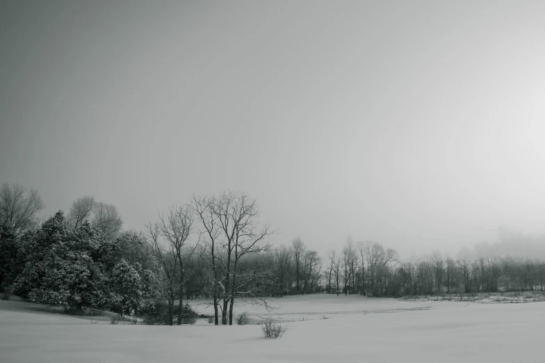 snow covered field with trees and sky in the background