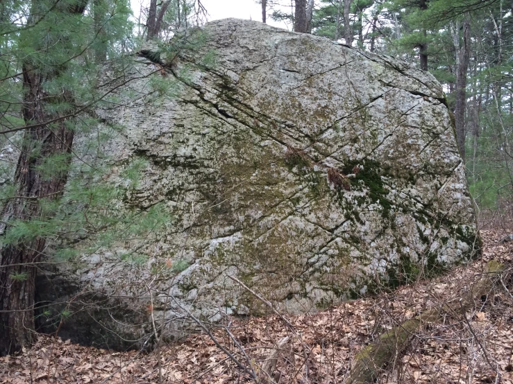 the rock is large and very big, with a green coating