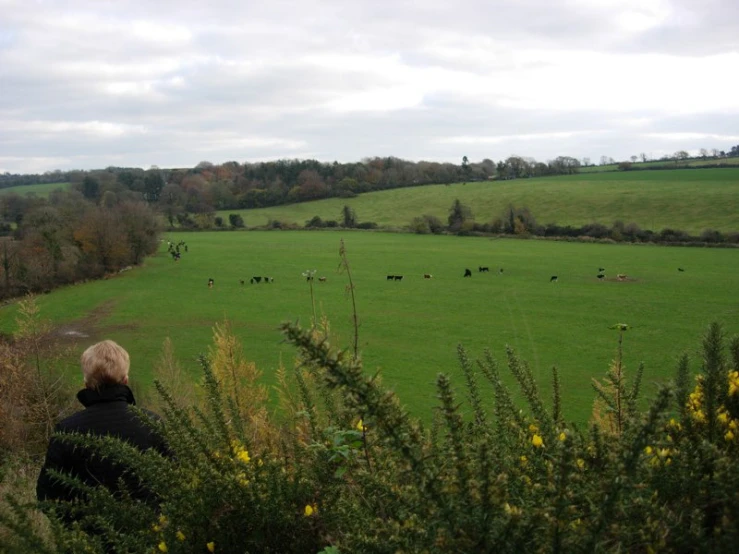 a person standing on a hill near the grass