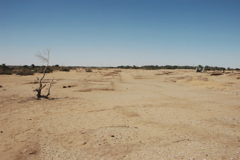 an empty dirt field with a few animals