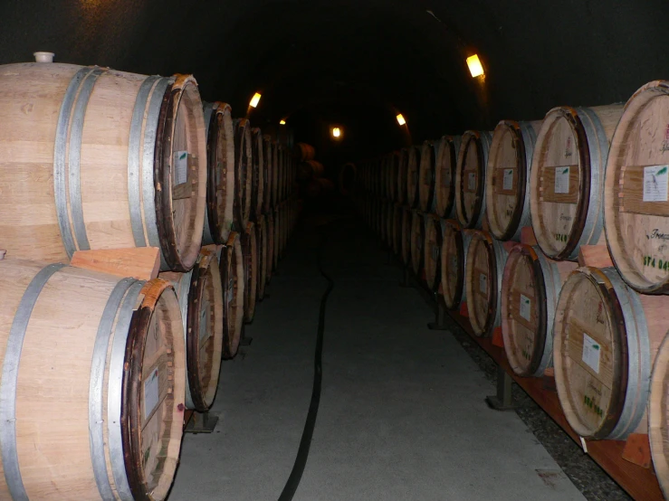 several barrels lined up in a dark room