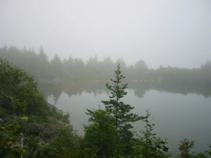 a lake surrounded by trees covered in fog