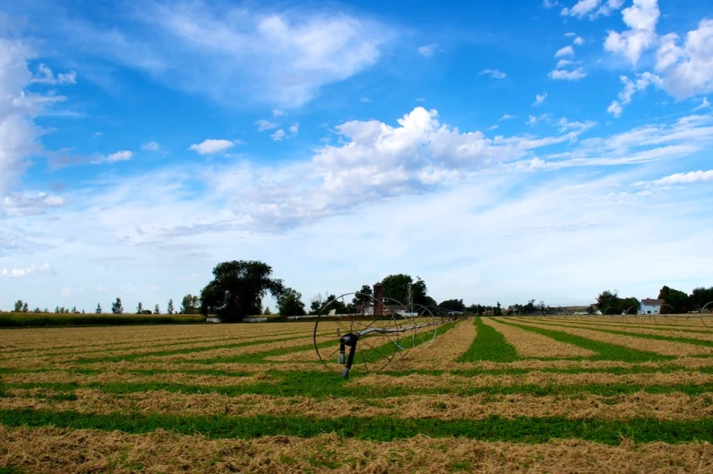 a man in a field with a kite on his head