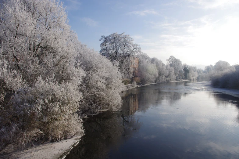 a river near a bank with trees on the banks