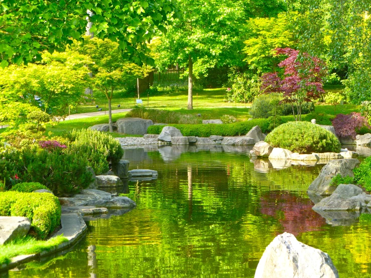 a pond surrounded by rocks and trees in the middle of a park