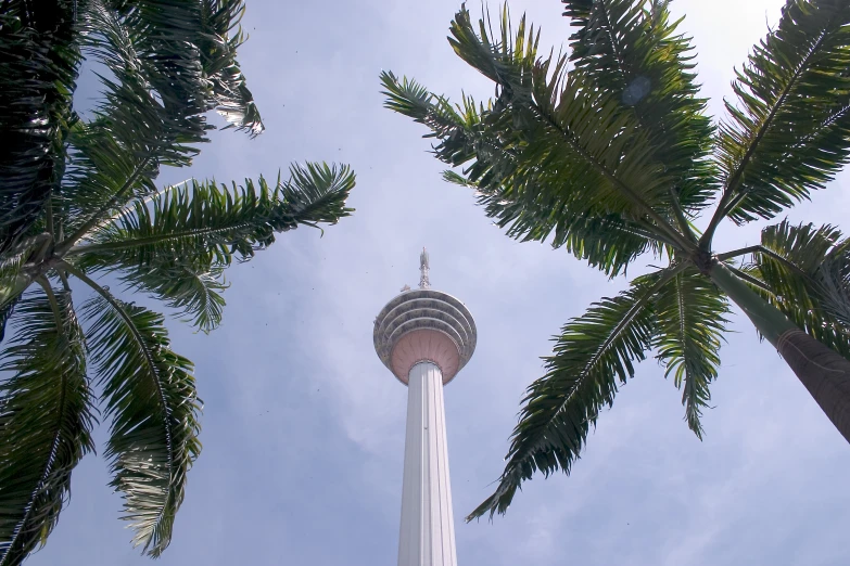 the top of a tall tower and some trees