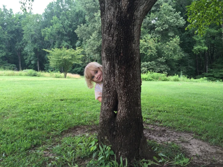 a child hugging a tree in a green field