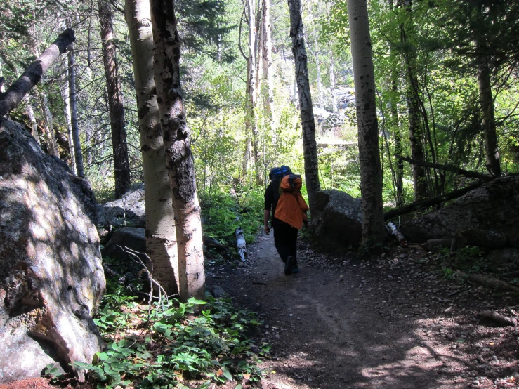 person wearing backpack walking on trail in wooded area