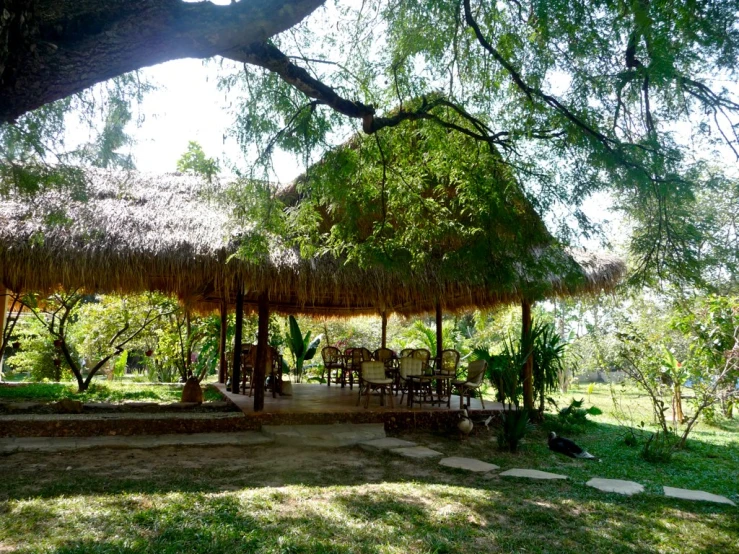 a large open space with tables under some trees