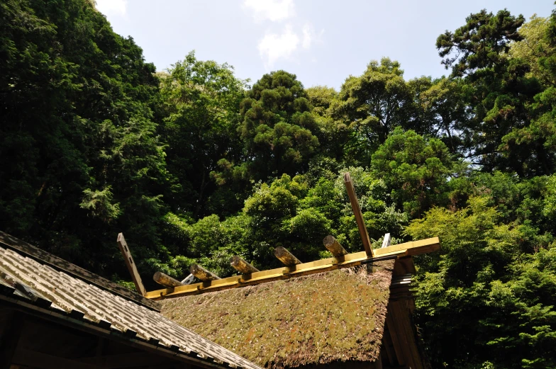 several birds perched on top of the roof of a building