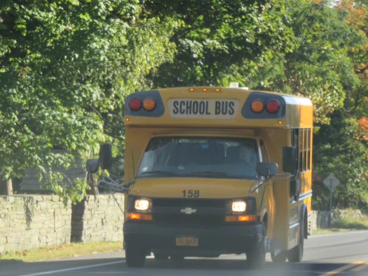 a school bus travelling down the road with trees lining both sides