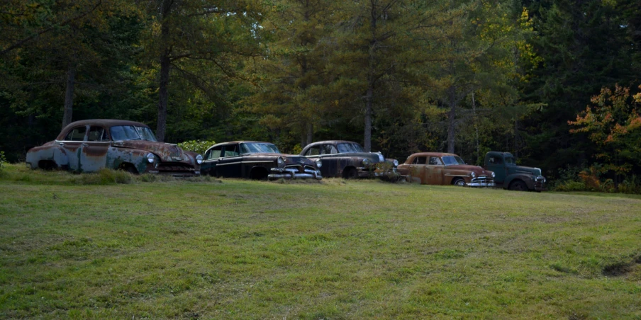 an old field full of older cars with grass growing all over it