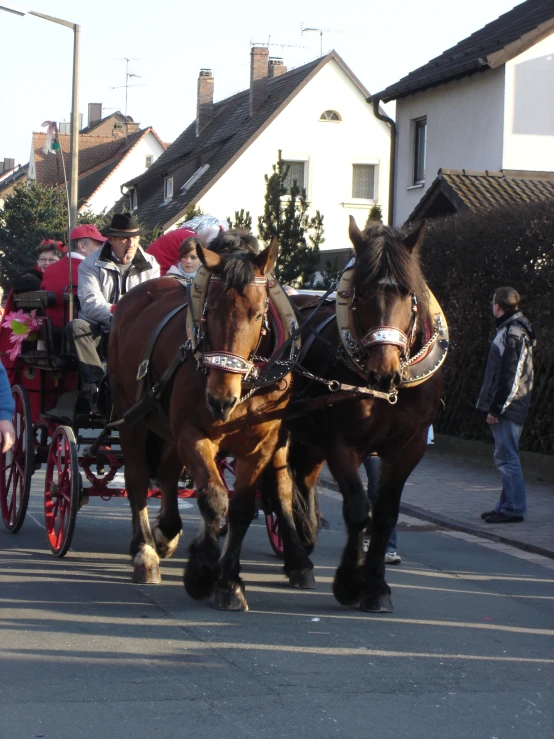 people are riding in the back of two clydesdale horses