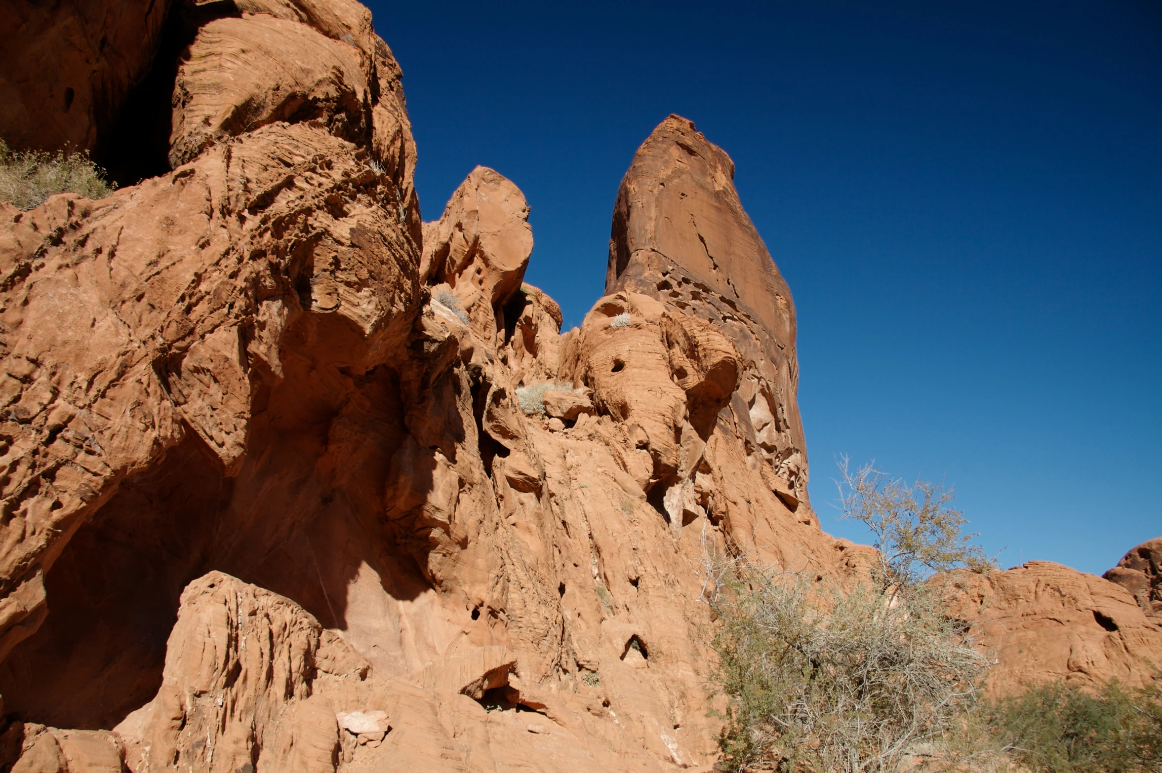 some rocks and bushes near a cliff