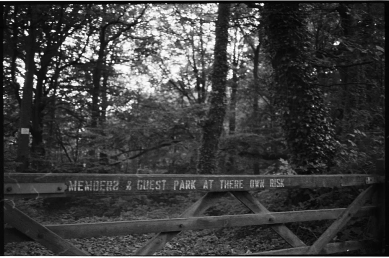 black and white pograph of a gate that reads, michigan forest trail