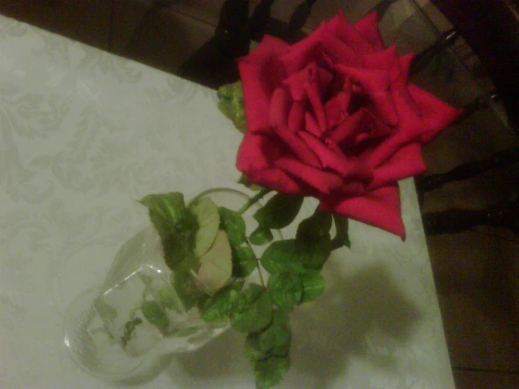 a clear glass vase containing leaves and a red rose