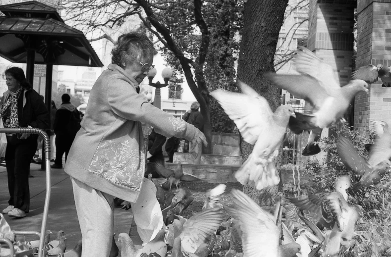 a black and white picture of people feeding pigeons