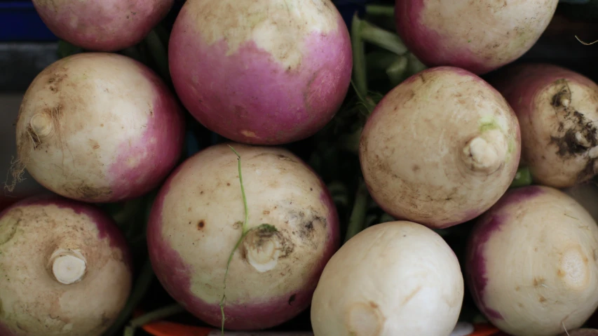 a bunch of onions in an orange bowl