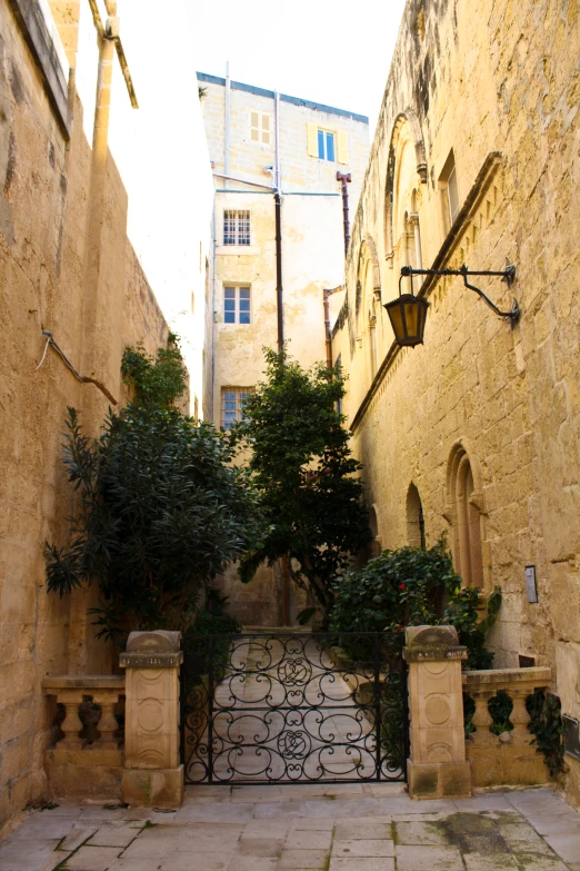 a pathway with a gate leading to buildings