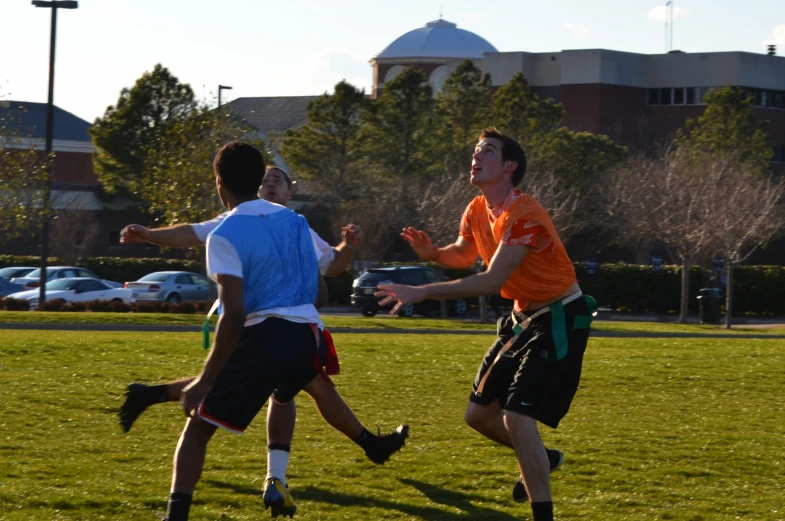 men playing frisbee on a grass field